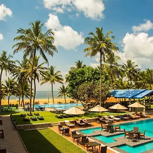 Camelot 4*, Negombo Sri Lanka